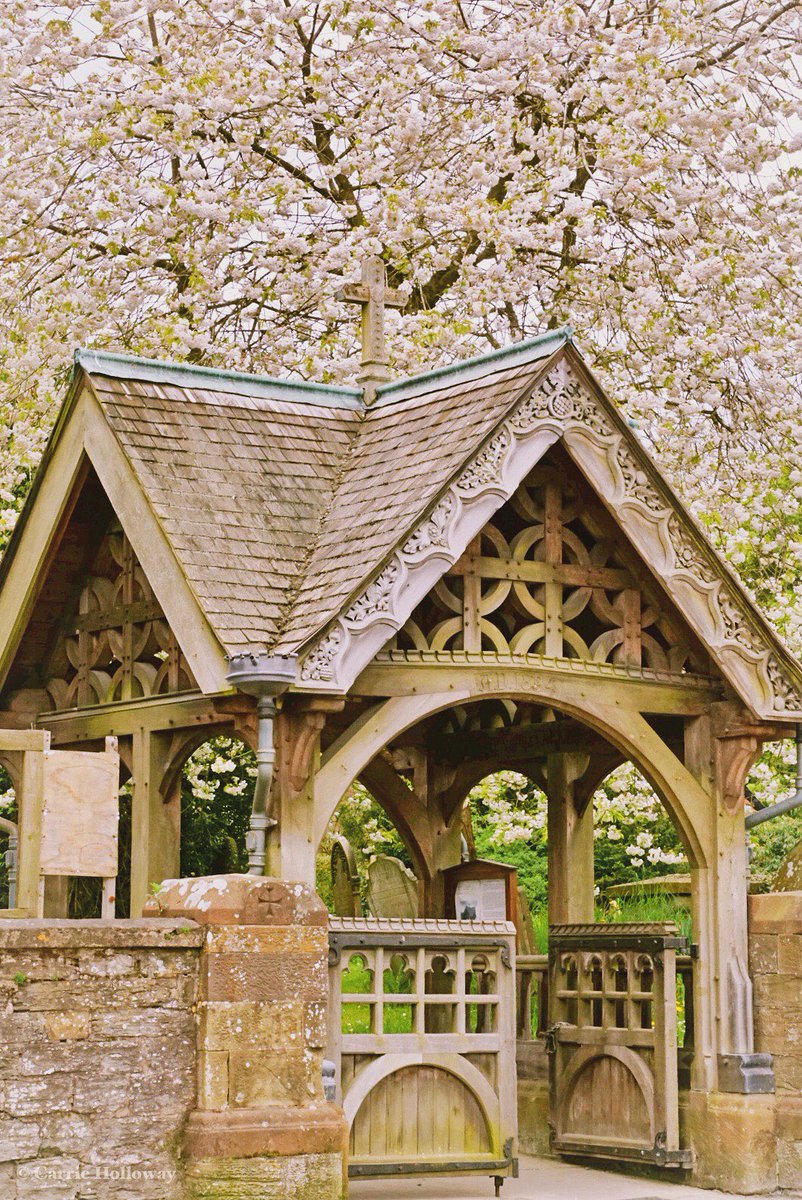 #lychgate & blossoms #BishopsCastle #Shropshire in May