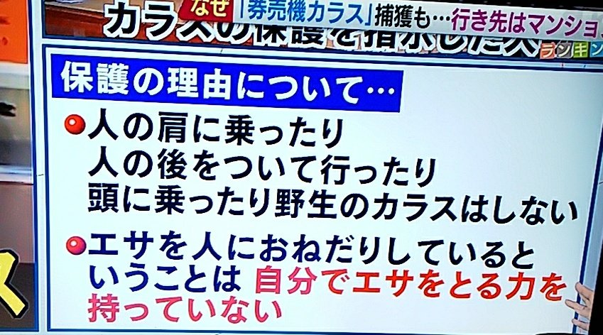 Jr錦糸町駅で利用者のicカードを奪うなどしていたカラスを一般女性が捕獲 普段は ゴミを荒らす害鳥カラス駆除しろ 鷹匠呼んで追い払え と叫ぶ国民の皆様から何故かお叱りの声が多数 フライドチキンの立場は 12ページ目 Togetter