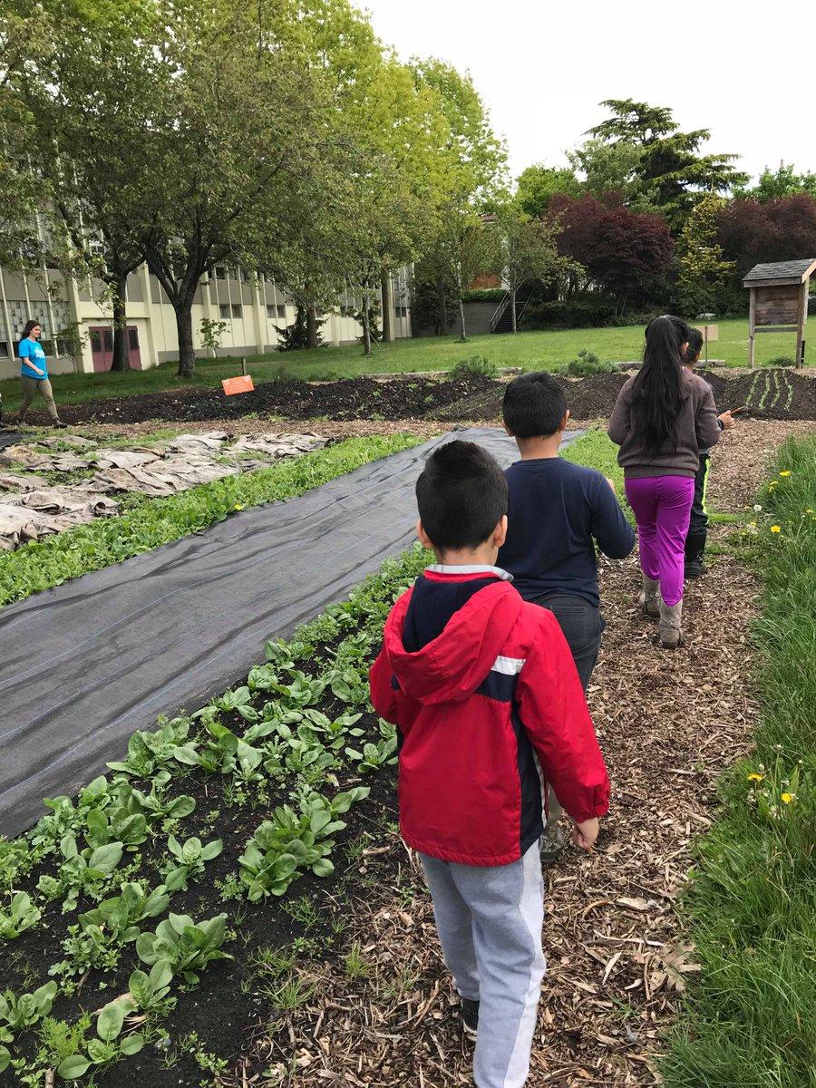 Ms_AGill's tweet photo. We learned how weather affects plant growth at @FreshRootsFarms! Students learned in an outdoor classroom, went on a scavenger hunt around the farm, planted vegetables and even helped make salad for our celebratory tasting! #outdooreducation #experientiallearning https://t.co/cyFl7VsvF8