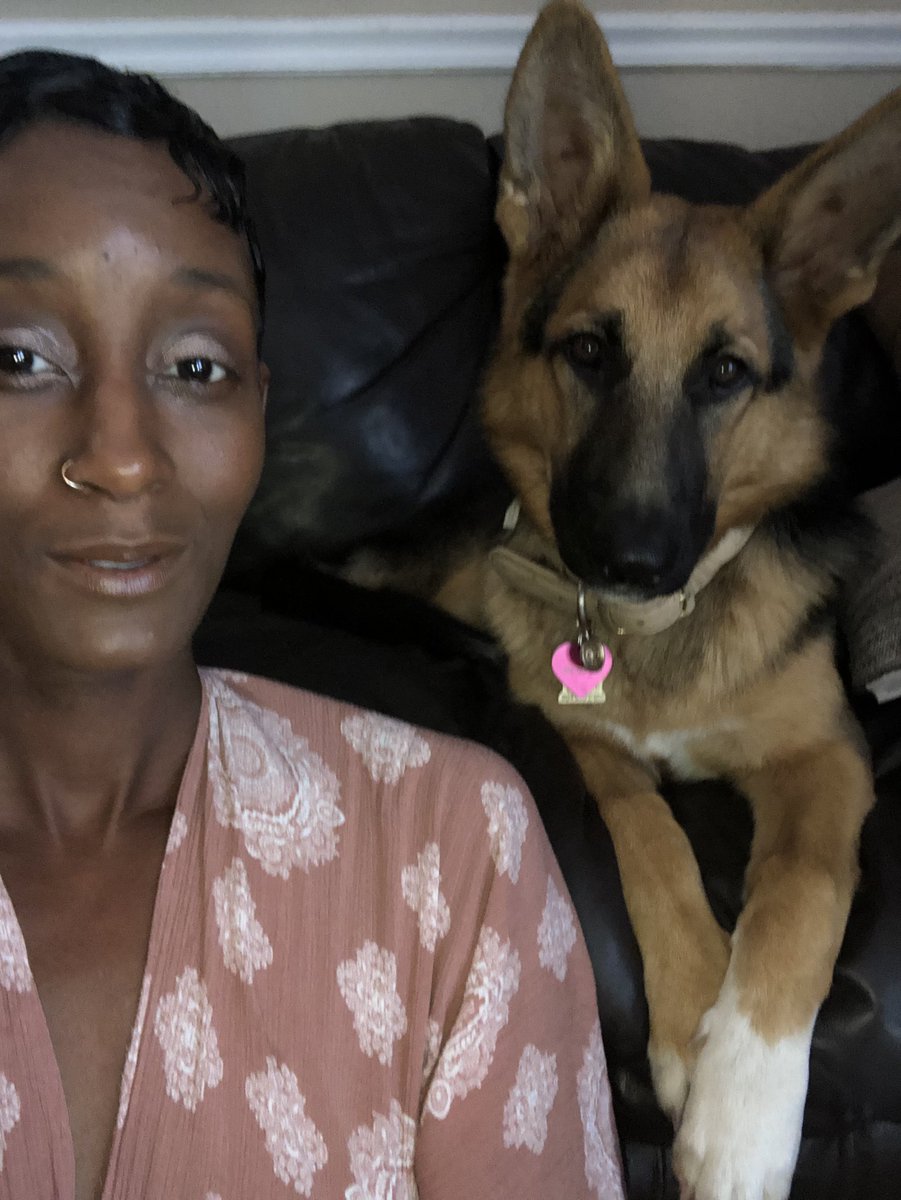 Jordan2bmine's tweet photo. On #GSP @Ancestry #lookingfor #pups #greatgrandparents #withwhitepaws #letusB #myriderpet #animalchild https://t.co/VKkwd9tncN