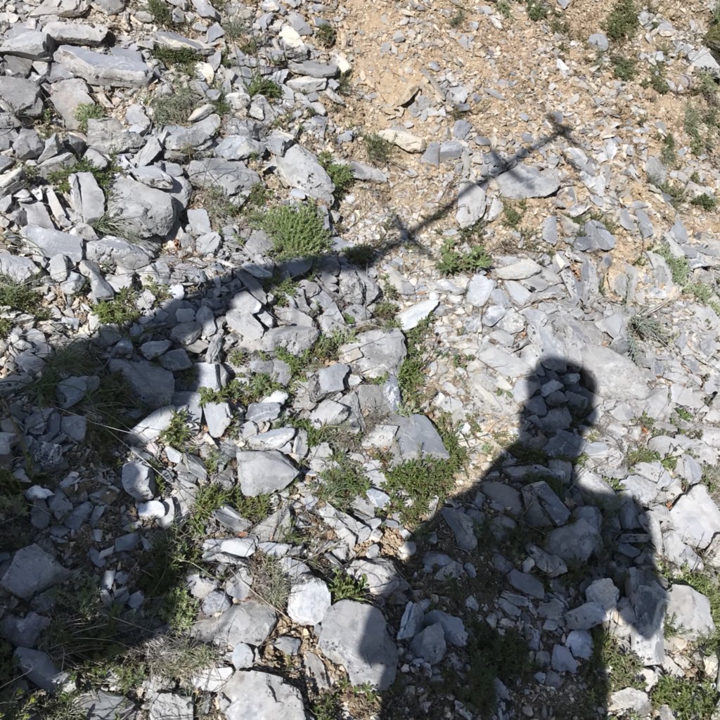 RevNJ's tweet photo. Track those #nightjars! 🇨🇭#ornithology #fieldwork @facesfieldwork @Vogelwarte_scie @FRC_UHasselt #valais @LeicaBirding #radiotelemetry #51club #profipaint https://t.co/TNg7PXc1M6