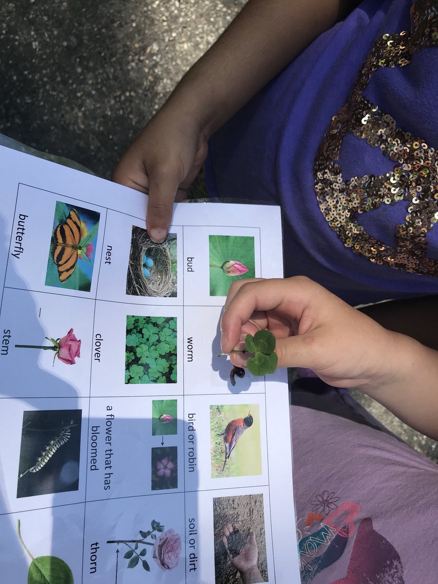 The students learned nature vocabulary and articulation skills on a nature walk today.  We were so lucky today!  We found a 🍀 four leaf clover! Thanks for the great idea <a href="/LeenaHosler/">Leena Hosler</a> #wearelamphere  #simondssuperstars