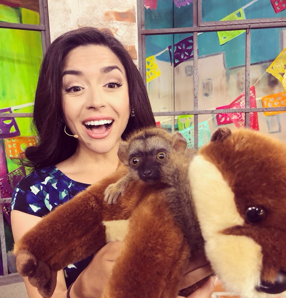 Thanks #animalworldandsnakefarm for bringing this cutie on <a href="/SALiveKSAT/">SA Live | ABC KSAT</a>