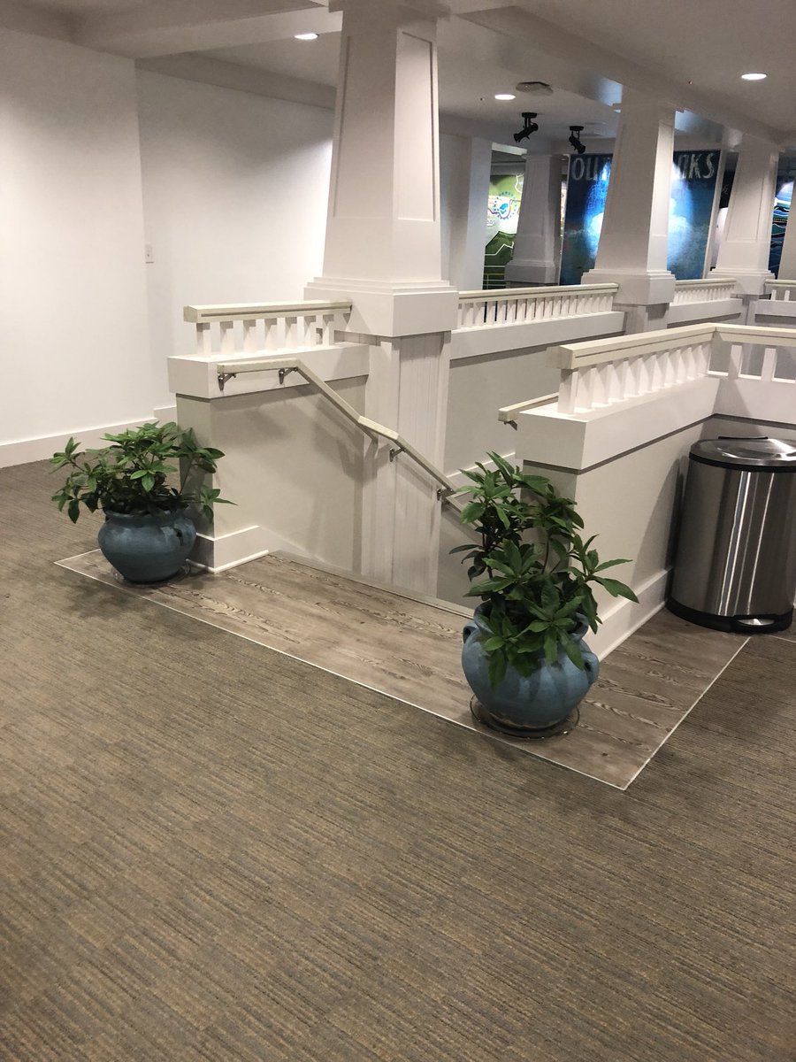 Anne Fuller tweet media