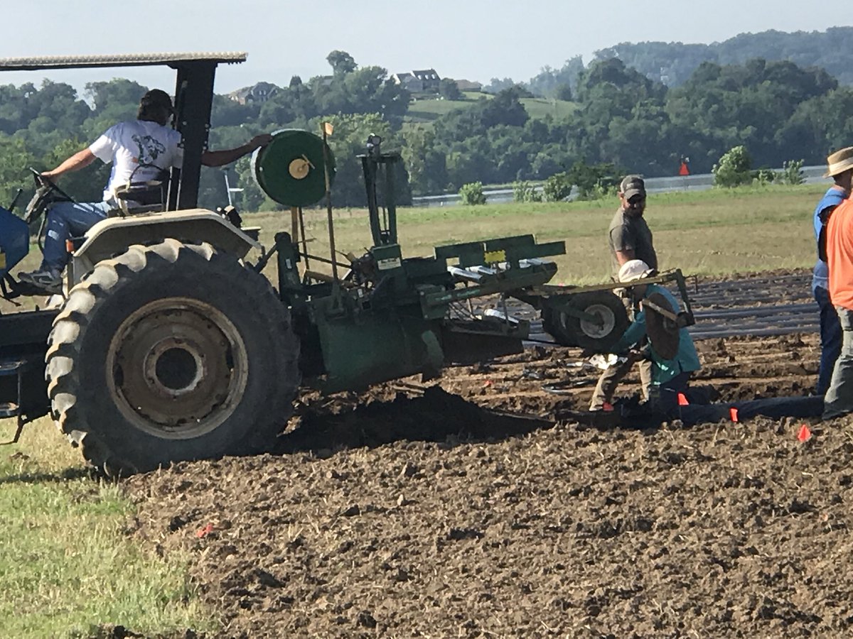 Sreejata116's tweet photo. Laying mulches and burying meshbags in our #BiodegradableMulch plots this season! #teamwork @USDA_NIFA @UTIAg https://t.co/3bxgjrl7zV