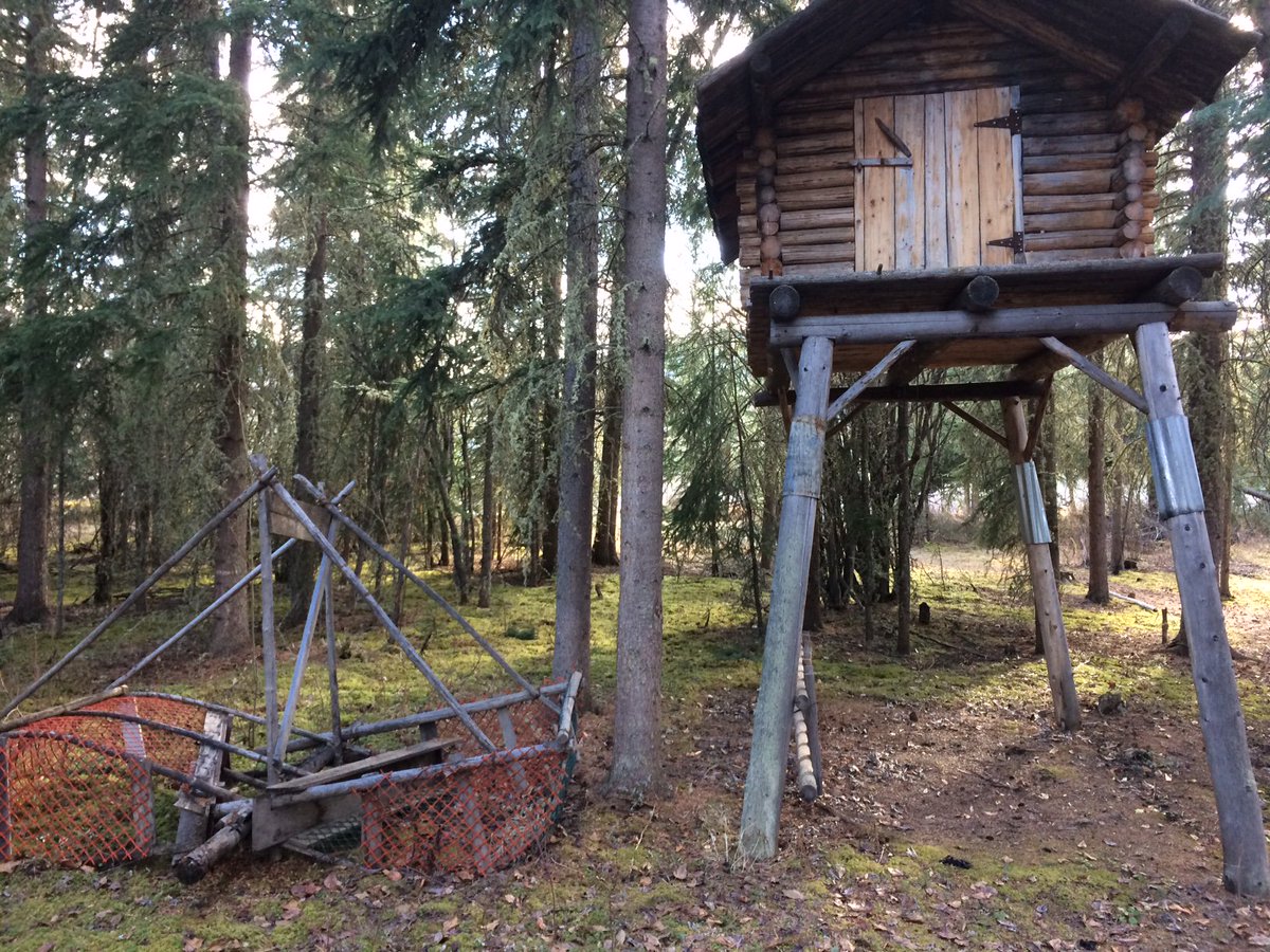 firelight_ca's tweet photo. 1/2 Greetings from Tr'ondëk Hwëch'in territory! Firelighters are in Dawson City, for a community project to build a #fishwheel, a traditional river-run device to catch fish. Check out how these work! https://t.co/VwfLrwqOcJ https://t.co/S67utGAGY2