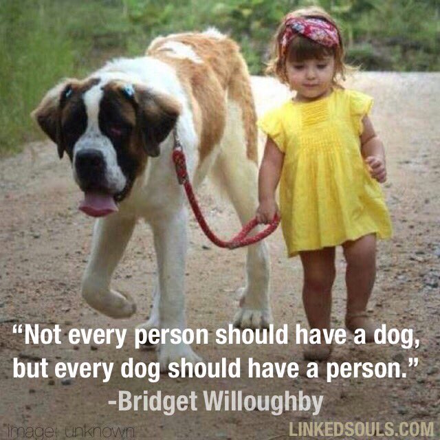 LinkedSouls's tweet image. Dogs complete us... if you have love, time and a home to share, then rescue your best friend from a local shelter.  #LinkedSoulsNation