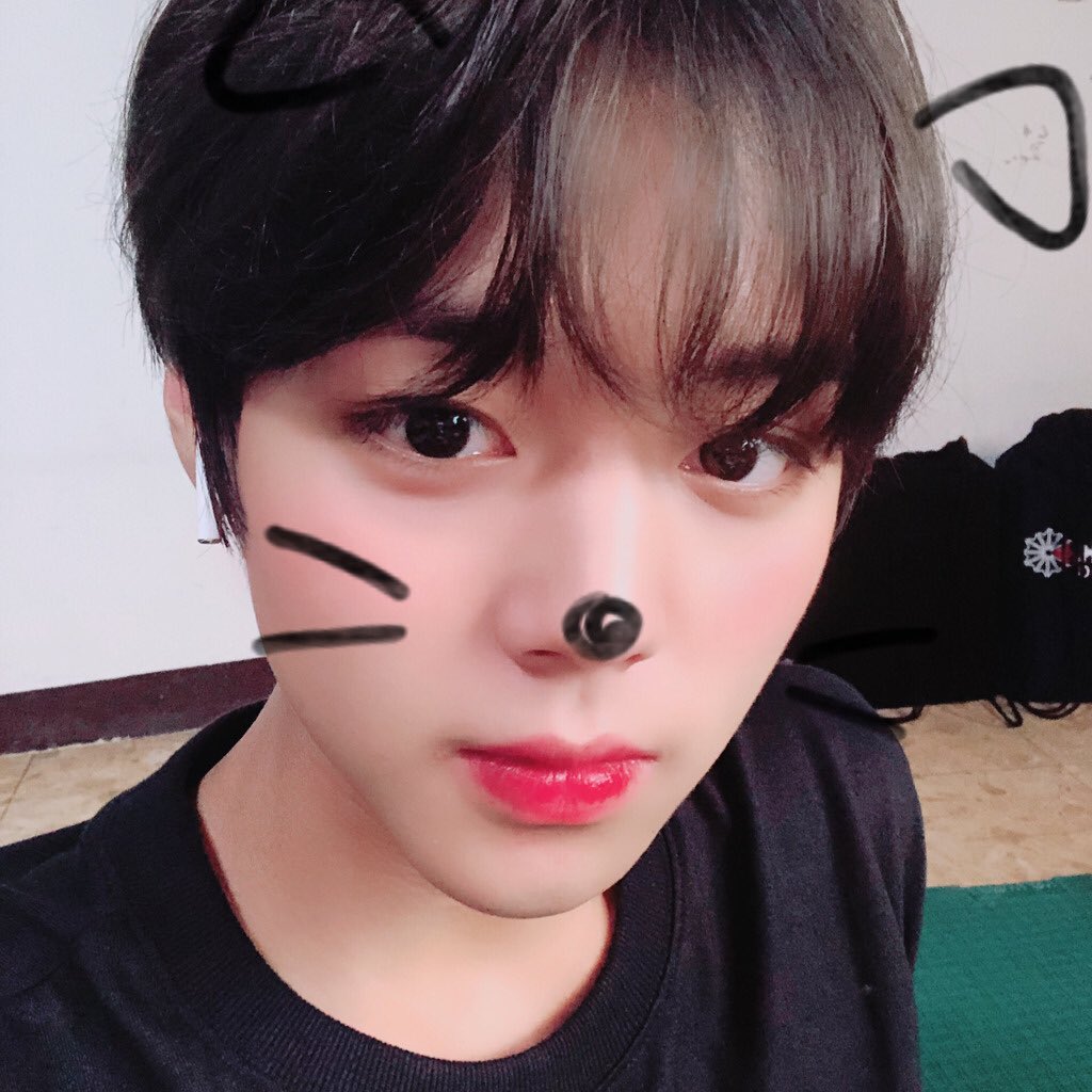 daystar_990529's tweet photo. 박지훈 한결같은 사람ㅋㅋㅋㅋㅋㅋㅋㅋㅋㅋㅋ
저 모양 좋아하나보ㅏ쏘큐티🐶ㅠㅠㅠㅠㅠㅠ🧡🧡 https://t.co/u57WlZx0r7