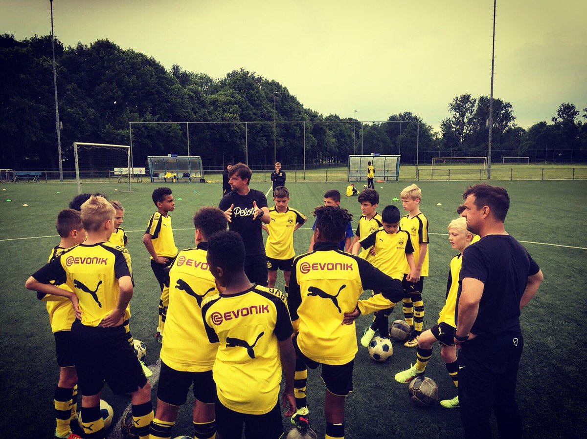 Pelota Academy tweet media