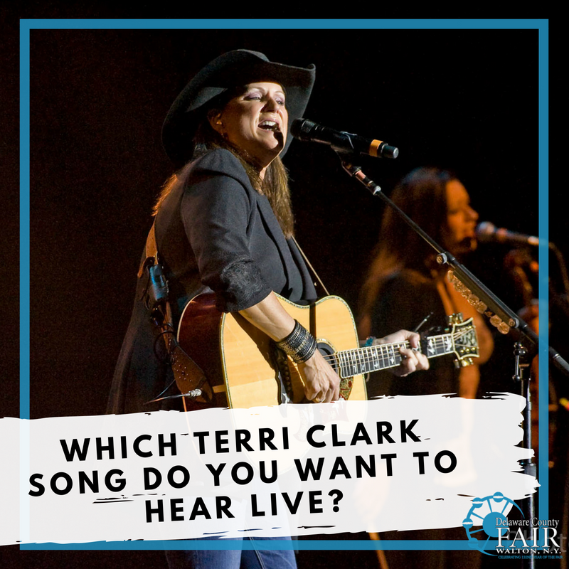 Delaware County Fair tweet media