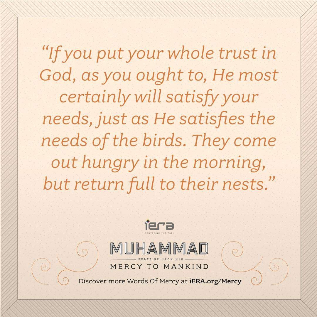 MuslimNow's tweet photo. “If you put your whole trust in God, as you ought to, He most certainly will satisfy your needs, just as He satisfies the needs of the birds. They come out hungry in the morning, but return full to their nests.”

Discover more #WordsOfMercy at https://t.co/k3J8TTyhHx https://t.co/Kk4ArP3pct