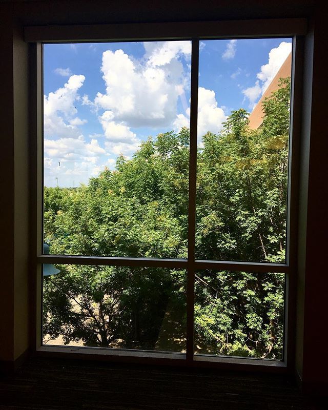 bpaletz's tweet image. Checking out the view from “The Bridge”. I always like it when you’re up in the tree line, it just feels right. #architecture #whatanarchitectdoes #finishingup ift.tt/2s8X34t