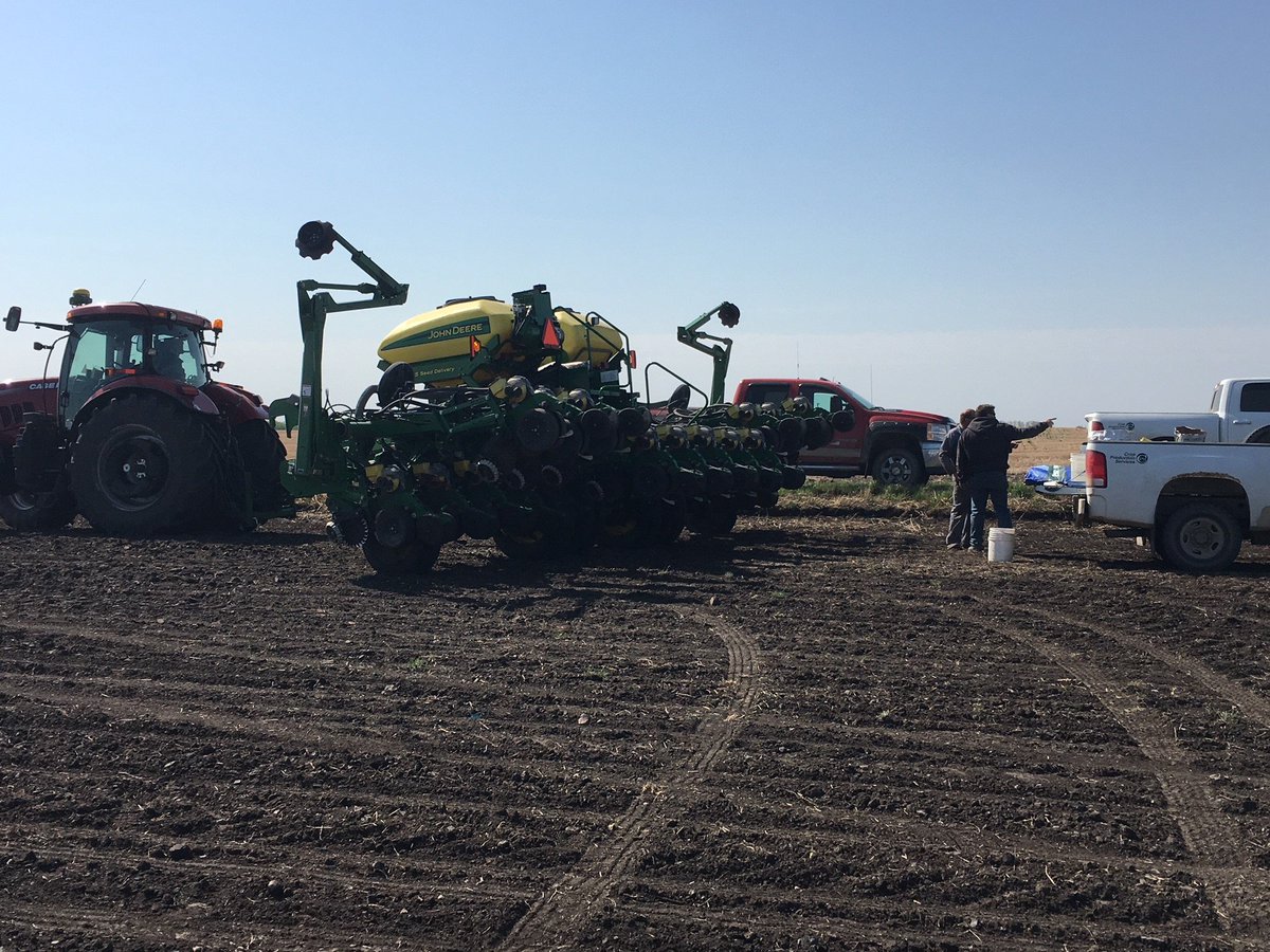 ProvenSeed's tweet photo. We'll be taking a look at mid and long season #corn hybrids in #ProvenPerformanceTrials at Willow Creek Farms in Cartwright, MB! #MBag #WestCdnAg #Plant18 https://t.co/GgieZgXlBX