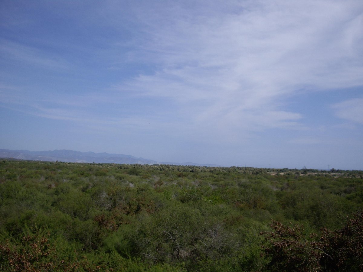 CBRiveras's tweet photo. DOS HERMANAS
East Cape,
MLS# 17-1187 | Lot M2: 542
More info: https://t.co/n8utuAG6Sl 
#cbriveras #realtors #realestate #bajalovers #laribera #lotforsale https://t.co/HVqXDyBIuf