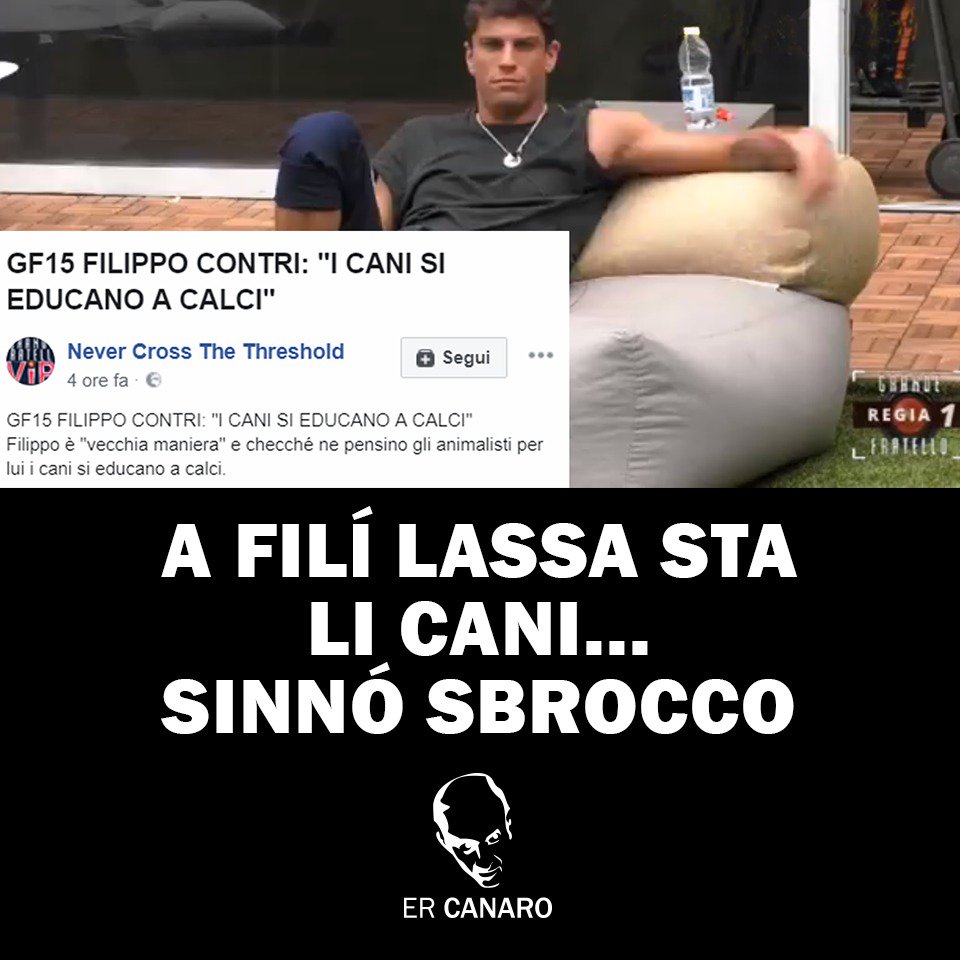 ErCanaro_'s tweet photo. Toccateme tutto ma li #cani no!

#grandefratello #gf15 #mosbrocco #ercanaro https://t.co/hAemozS5QN