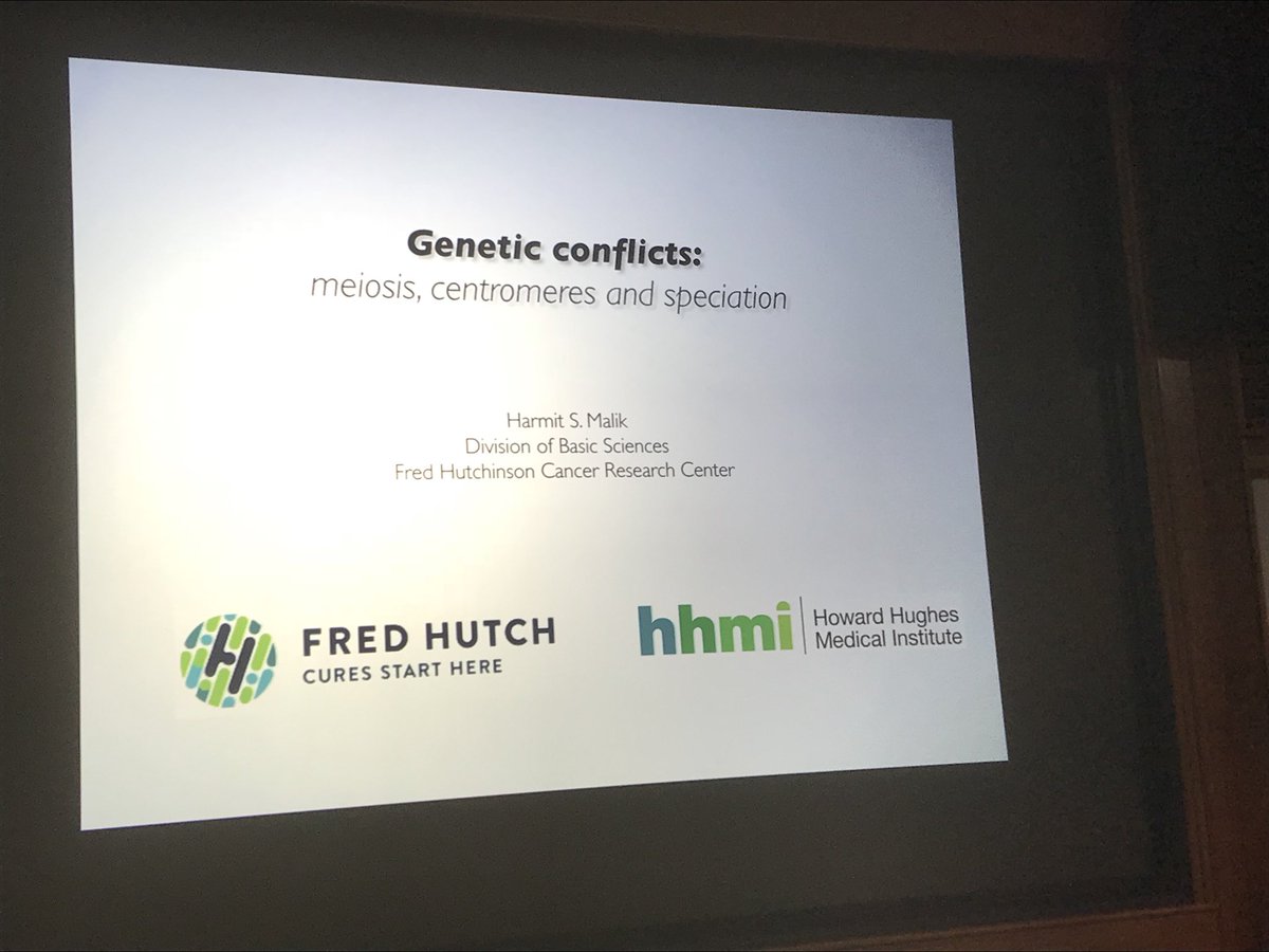 EwelinaBolcunF's tweet photo. Guess who is visiting @jacksonlab today? We are super excited to have @HarmitMalik tell us all about #GeneticConflicts and #meiosis https://t.co/yQ3oiMBggh