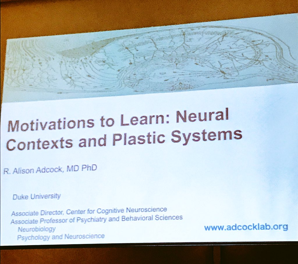 Triangle_SfN's tweet photo. Dr. Alison Adcock of @DukeBrain telling us about motivation encoding in the VTA and hippocampus of humans.  #TriangleNeuro https://t.co/5EijG46Gu1