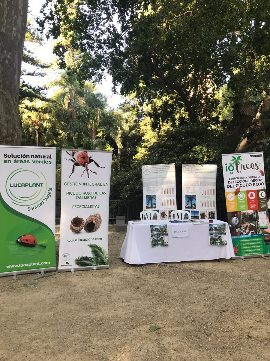 iotrees_esp's tweet photo. IoTrees en las jornadas internacionales de Arboricultura en el jardín botánico de la Concepción en Malaga. Os esperamos!!! #Lucaplant #Picudorojo Detección precoz con los sensores IoTrees. https://t.co/CAo4Ywmxn0