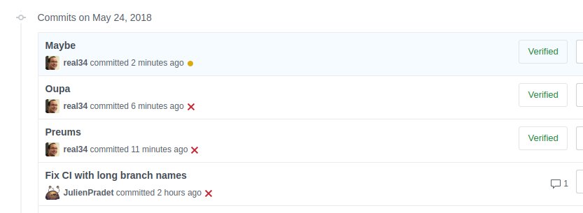 pierremartin's tweet image. Derniers commits avant #SudWeb … il est temps d’aller discuter qualité avec des gens bien :)