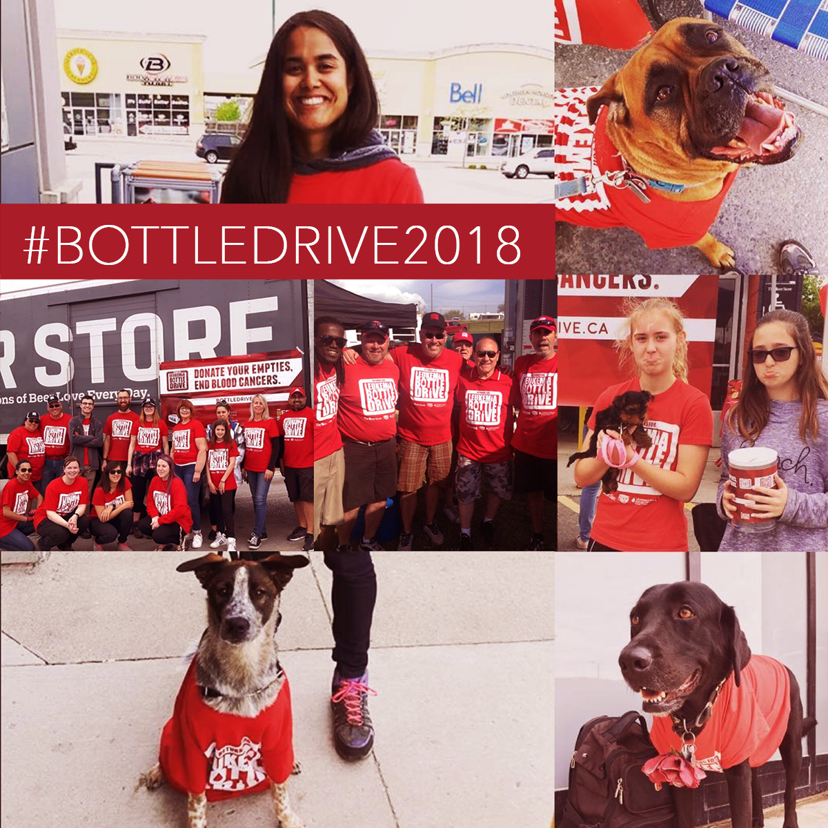 TheBeerStoreON's tweet photo. Are you going to be donating or volunteering at our annual #bottledrive? Have you been saving up those #empties? Share your pictures and story with us by using the hashtag #BottleDrive2018! Every empty makes a difference! https://t.co/Rp84iZ6eT8 #bagitback #springcleaning https://t.co/V3SNH0KHoC