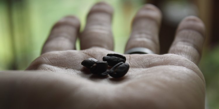 DanGolding1's tweet photo. Drinking more coffee may undo liver damage from booze https://t.co/Eqw95Y3Tkt https://t.co/tQvkBAnlAP