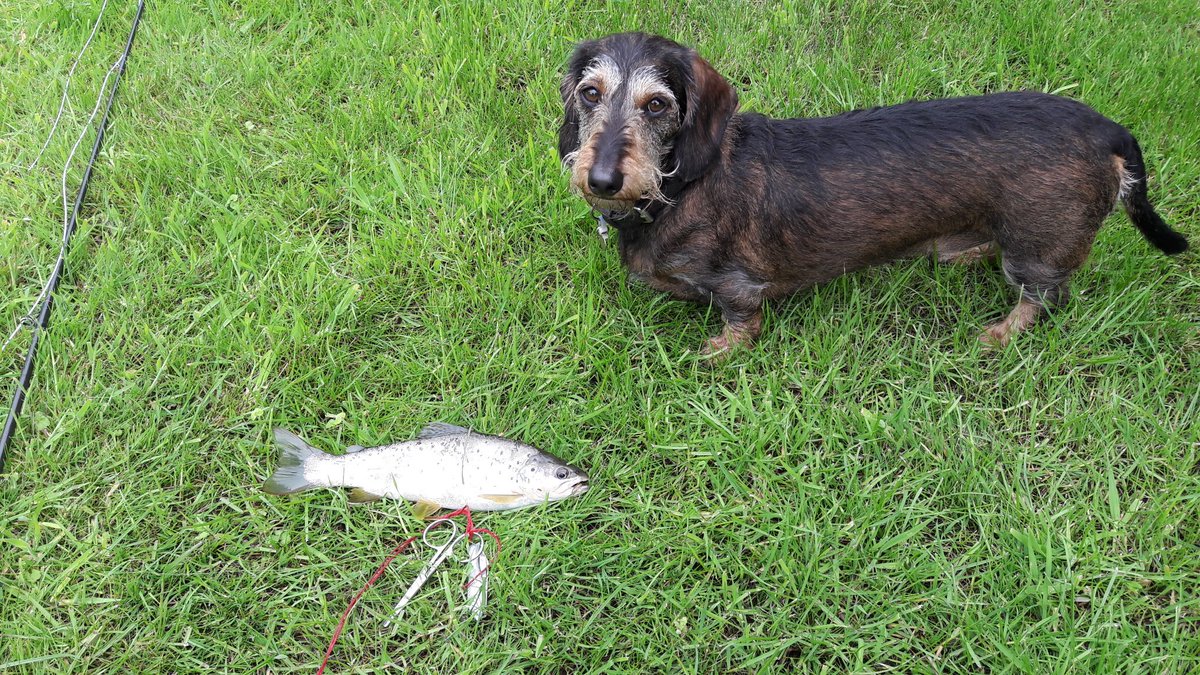 What a blissful way to spend a day