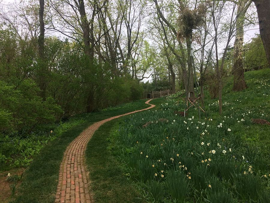 studio_1619's tweet photo. 90 year old irrigation system and a historic garden, could have met with tragedy... find out how Dumbarton Oaks (DC area) is getting new life this spring!  #studio_1619  #newpipes #springishere #BeatrixFarrandsdesign 
https://t.co/gGHVO2UexB https://t.co/Bl1r2iHQub