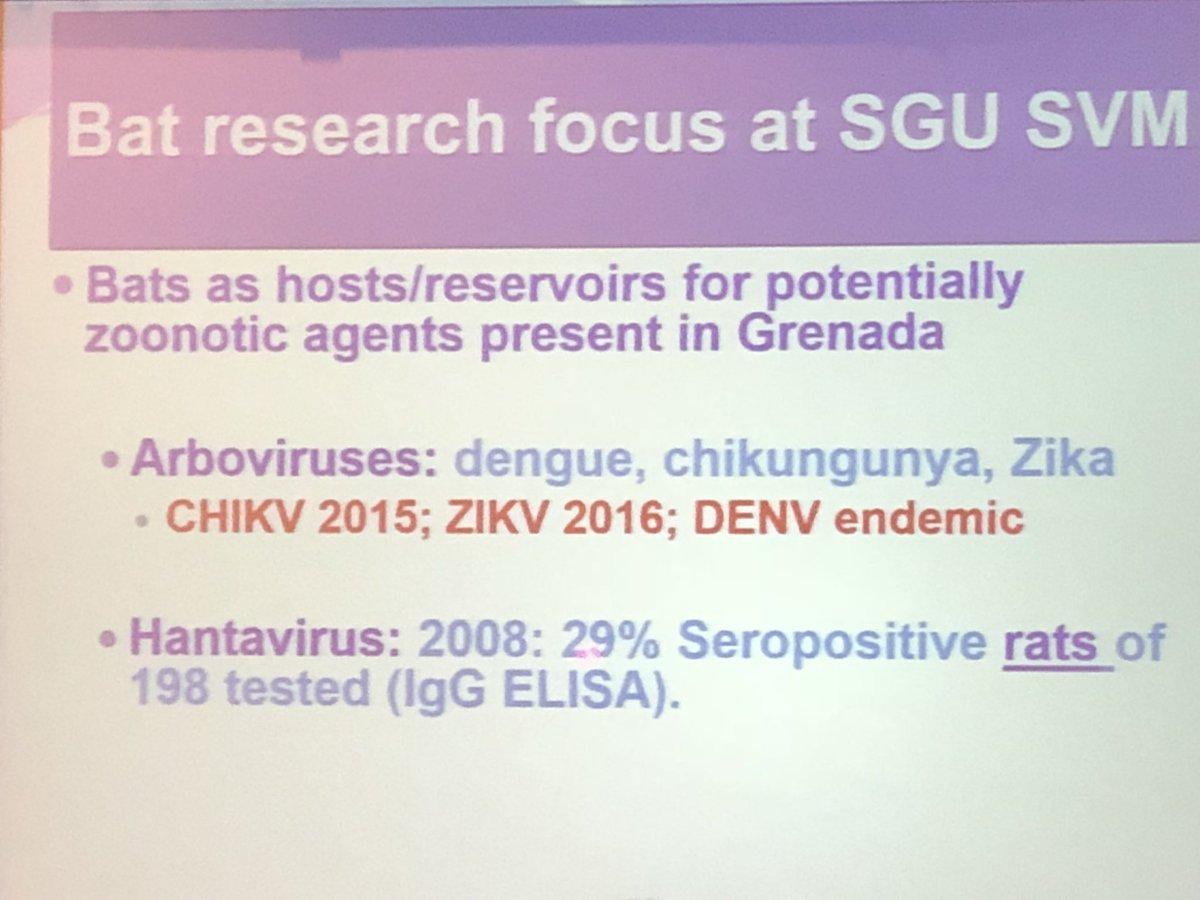 RodneyRohde's tweet photo. It’s been great reconnecting w my #publichealth #zoonosis colleagues & friends in Houston! Why not show off some of our @TXST_CLS research while here - #Sarcoidosis & #MRSA in Dogs - at the Diseases in Nature Conference #DIN2018!
The #MedicalLaboratory & #PublicHealth Rock! https://t.co/Osuk4hZY3U