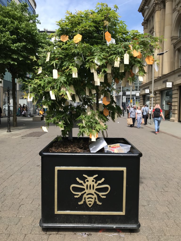 nursewendynoo's tweet photo. Just four of the many memory trees in Manchester. I lost count of trees but they all had lovely messages on them. #ManchesterArea #LoveManchester 🐝🐝🐝🐝🐝🐝🐝🐝🐝🐝🐝🐝🐝🐝🐝🐝🐝🐝🐝🐝🐝🐝 https://t.co/0osL4usC6r