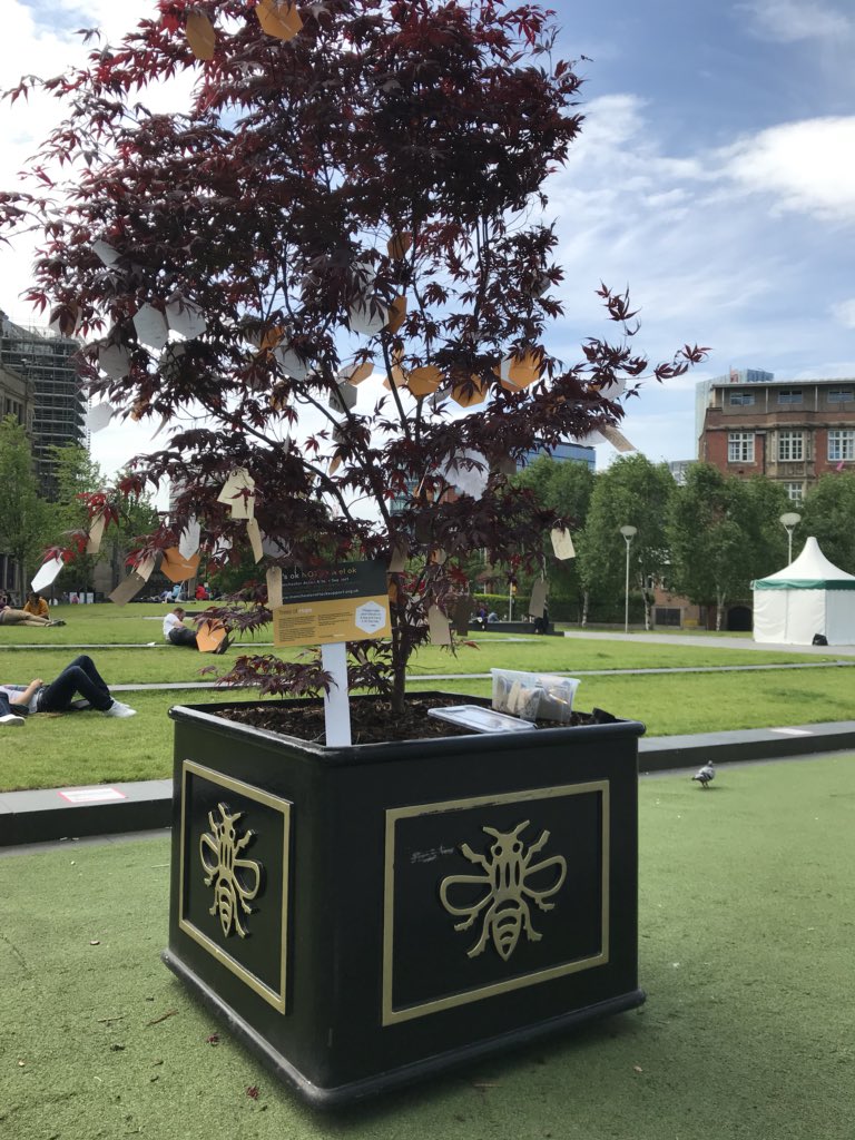 nursewendynoo's tweet photo. Just four of the many memory trees in Manchester. I lost count of trees but they all had lovely messages on them. #ManchesterArea #LoveManchester 🐝🐝🐝🐝🐝🐝🐝🐝🐝🐝🐝🐝🐝🐝🐝🐝🐝🐝🐝🐝🐝🐝 https://t.co/0osL4usC6r