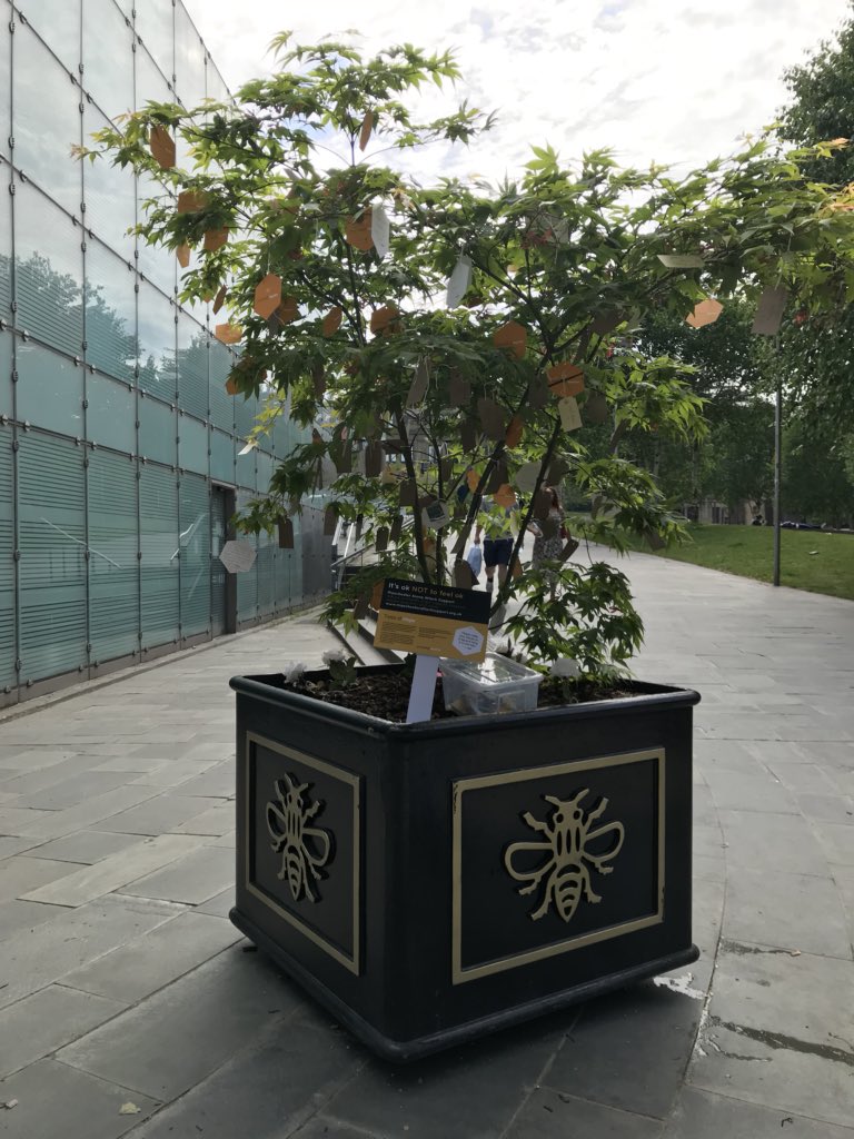 nursewendynoo's tweet photo. Just four of the many memory trees in Manchester. I lost count of trees but they all had lovely messages on them. #ManchesterArea #LoveManchester 🐝🐝🐝🐝🐝🐝🐝🐝🐝🐝🐝🐝🐝🐝🐝🐝🐝🐝🐝🐝🐝🐝 https://t.co/0osL4usC6r