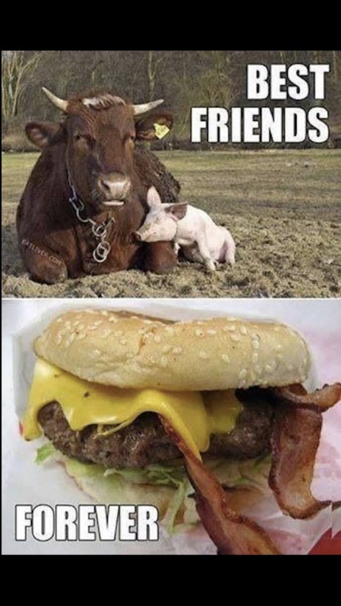 #bacon #funny #love #friends #btc #xvg #Survivor #RedNoseDay2018 #ThursdayThoughts #bestfriend