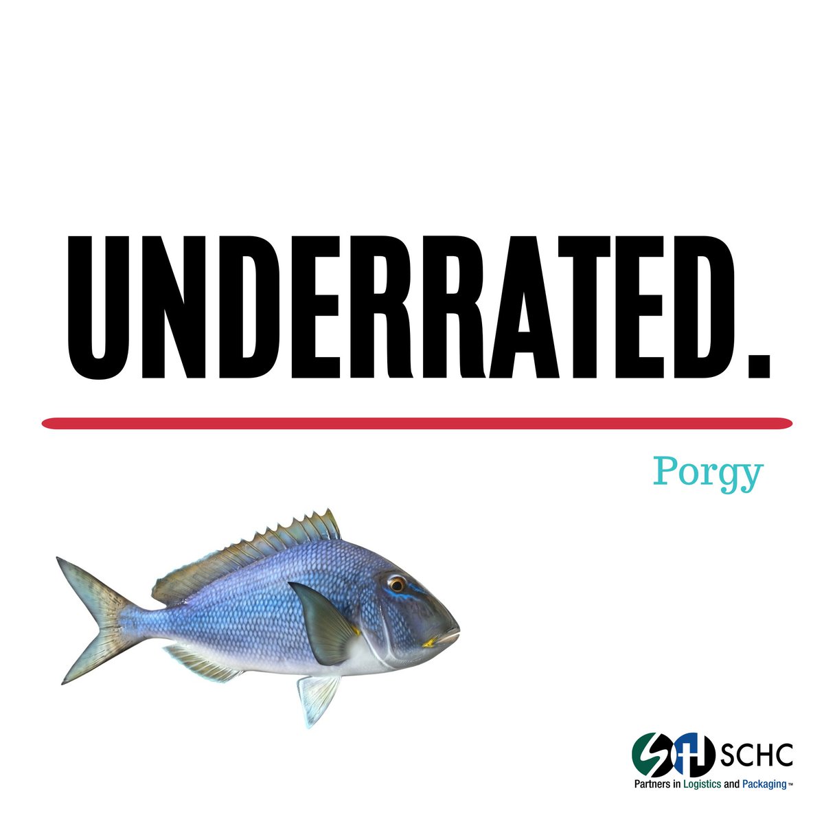 SCHC_Partners's tweet photo. Although not very popular in the US, #porgy #fish is a sensation in England & Japan.
What about trying this #UnderratedFish this weekend? Learn More: https://t.co/OCtDnmg6T9 | Via @ALSeafood | #SCHC #Packaging #Corrugated #boxes #WaxPackaging #EatFish #Seafood2xWk #ALSeafood https://t.co/ET0D88BlQx