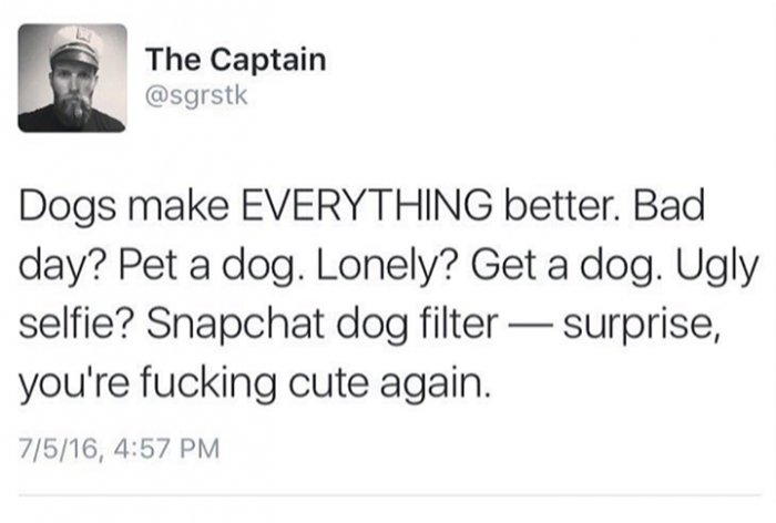InstamemeCo's tweet photo. Just be a dog directly! https://t.co/adJZxADtNm https://t.co/7MjBhLEZbO