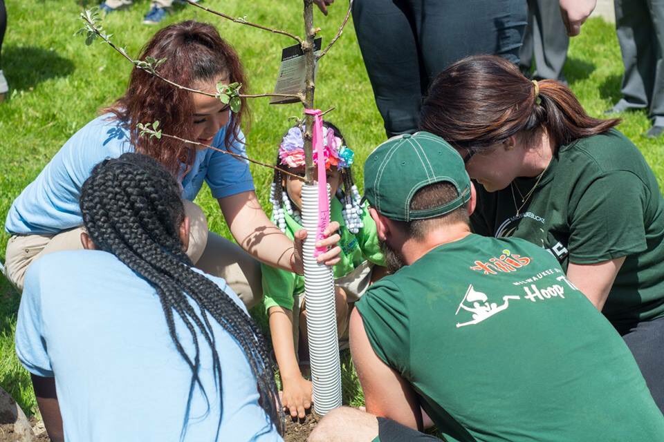LearnwithULC's tweet photo. MTEC would like to send a HUGE thank you to the @bucks and @AmerTransCo for allowing our school @TheEnviSchool to be the recipients of 5 beautiful trees for their courtyard gardens! Thanks @bucksbango for helping us celebrate &amp; plant! 
#bucks #TreesforThrees #bucksbango #MESA https://t.co/rl9MI1IV7x