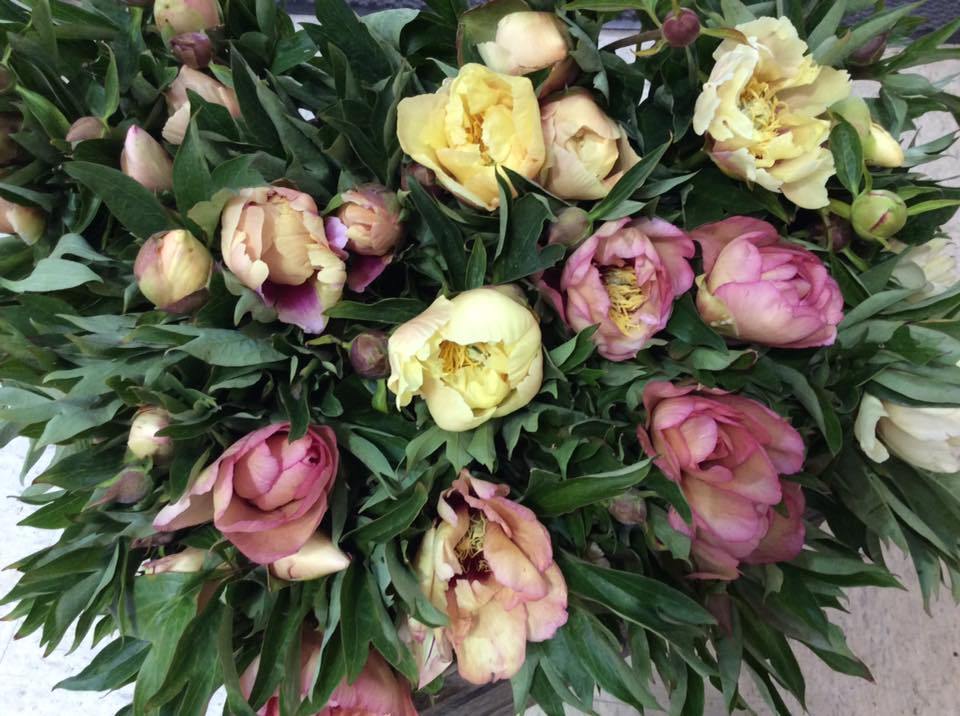 Flowers N Things Flowersnthings Twitter