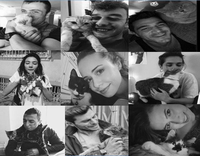 Bi küçücük kedi meselesi 🐱🐱 #söz