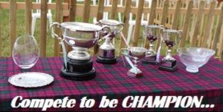 Livestock Entries are OPEN...
northdevonshow.com/entries/