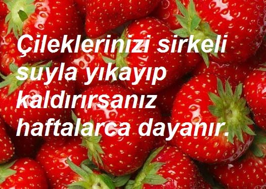 BingoBilgi's tweet photo. Çileklerinizi sirkeli suyla yıkayıp kaldırırsanız haftalarca dayanır.
#bingobilgi #çilek #cilek #pratikbilgi #sirke #pufnoktasi #saklamateknikleri #yıkama #mutfak #mutfaksirlari https://t.co/5h7NIVfuK6