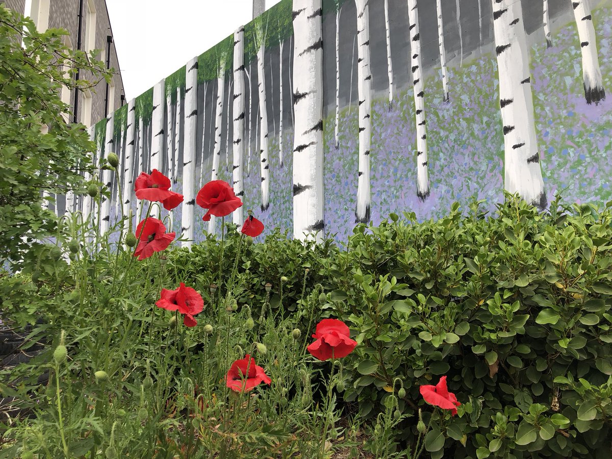 Riverside Garden tweet media