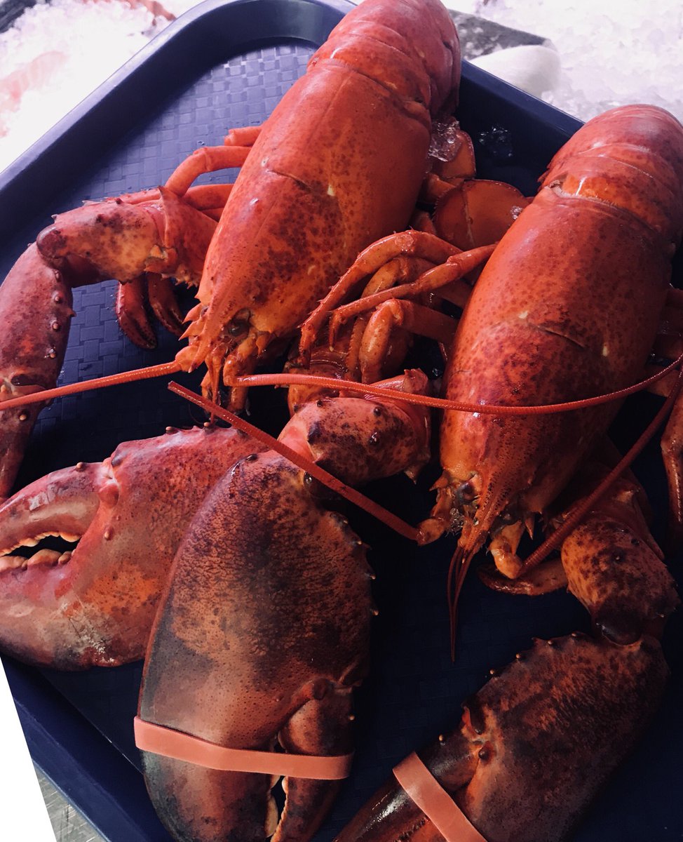 beech_inn's tweet photo. The Countdown to the #BankHolidayWeekend is well and truly on and we’ll be serving Delicious Food, Fine Wine and Good Beer throughout! #BeechTree #BankHoliday #Food #Cardiff https://t.co/yxHsP60WP5