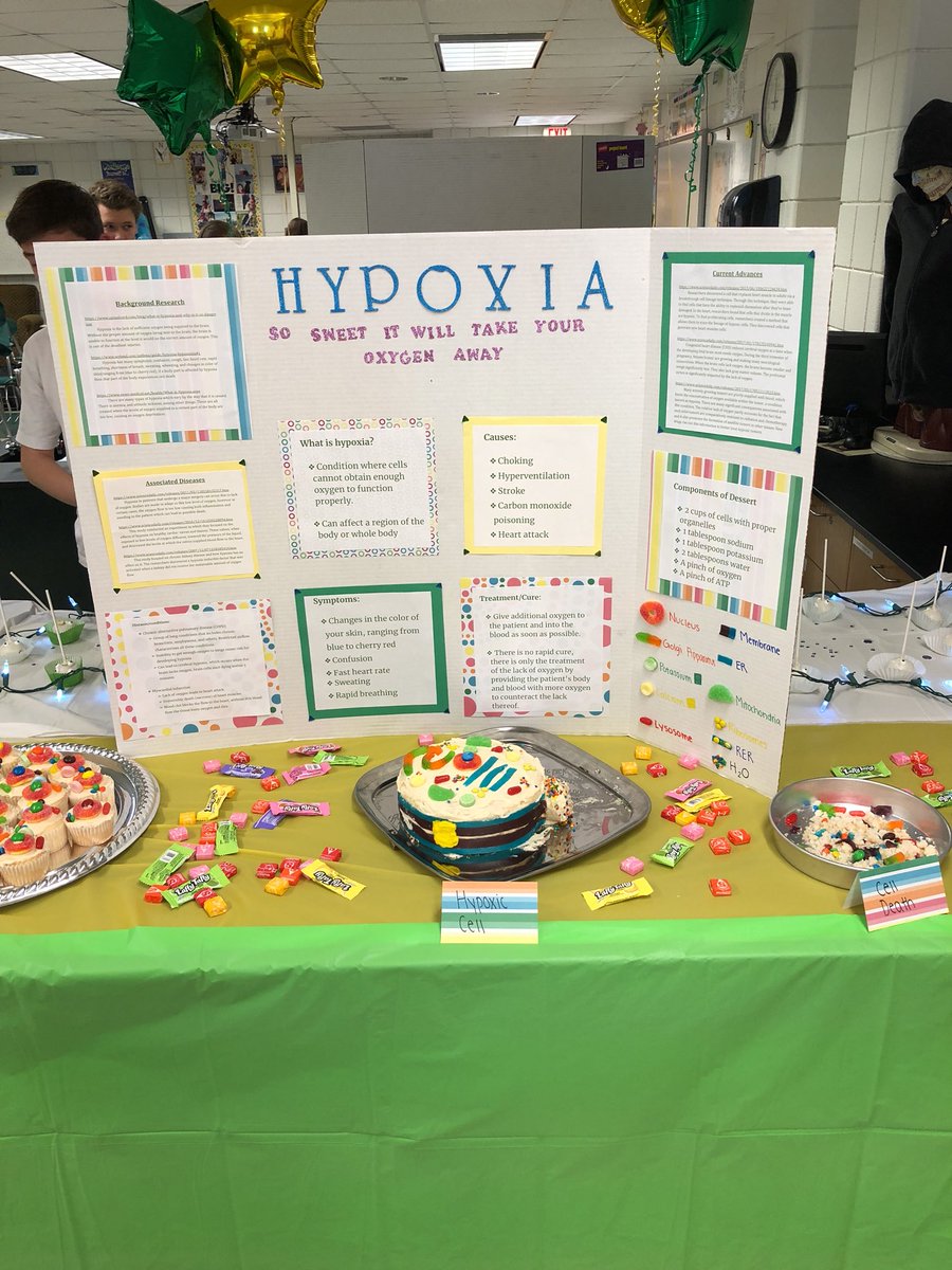 alex_emig25's tweet photo. These #sweettooth2018 projects are informative and super SWEET (get it?)@SueSpeirs_RT https://t.co/ahfQLNPsou