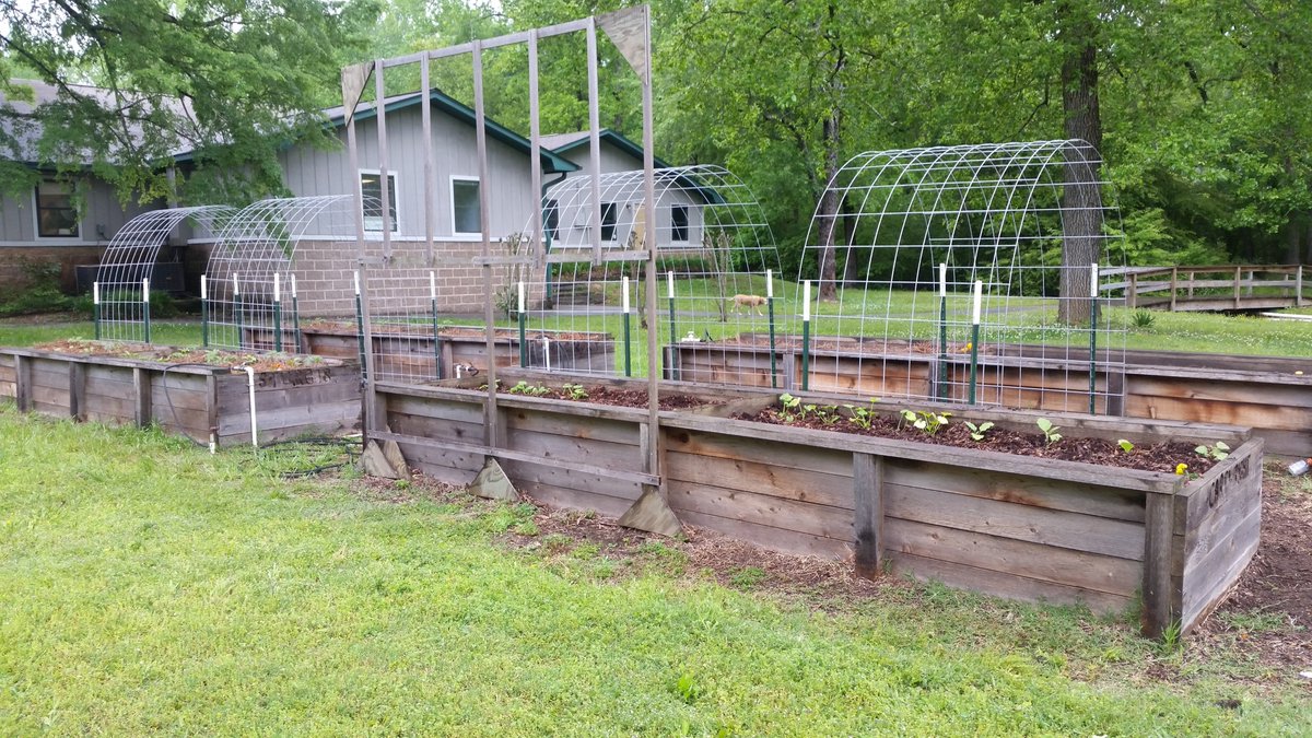 FCFCorps's tweet photo. The garden at Youth Home is coming along quickly, thanks to their new Service Member, Gigi!  #ARGardenCorps https://t.co/A3SFjF2vj3