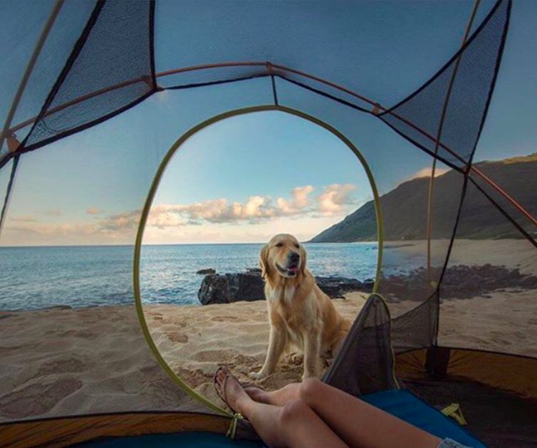 CampingRoadTrip's tweet image. How about some beach #camping this summer? ⛱ Use our "Advanced Search" to find #campgrounds with amenities such as "beach": ow.ly/YDpL30ka1yI
📸: @matsuda_effects  #campingtips #camplife