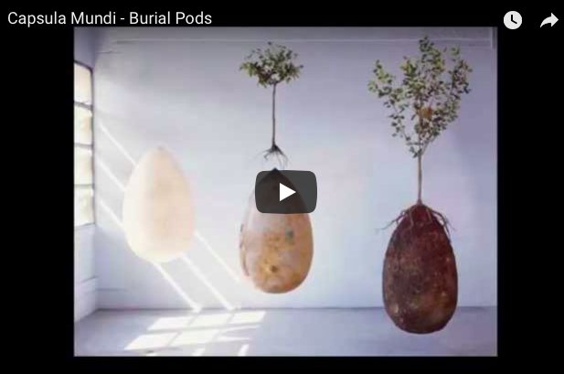 capsula_mundi's tweet photo. #biodegradable #burial concepts #greenburials #lifeneverstops via @funeralzone
https://t.co/Zs0A3IIgf3 https://t.co/0Jdj7tK9q4