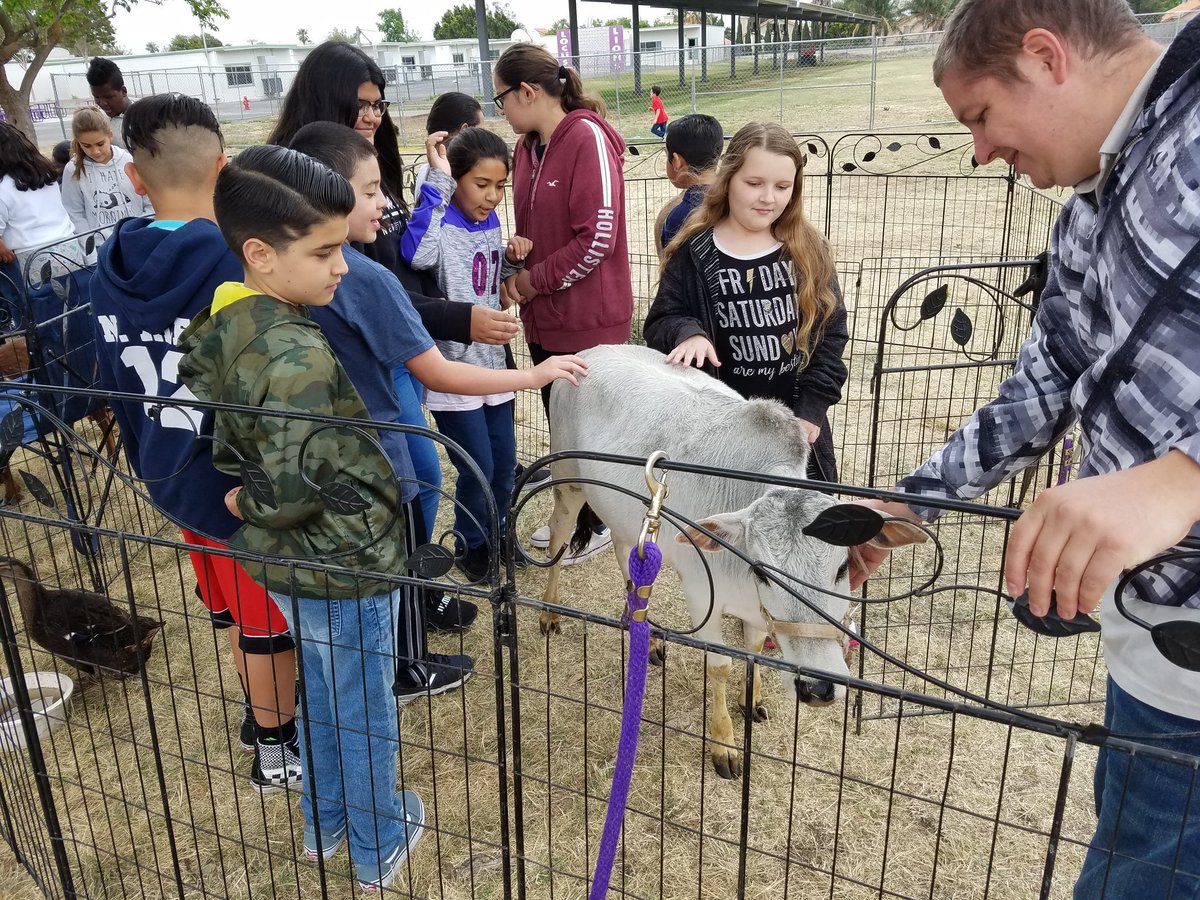 FUSD_Locust's tweet photo. Petting Zoo @FUSD_Locust https://t.co/QQHG37hXIl