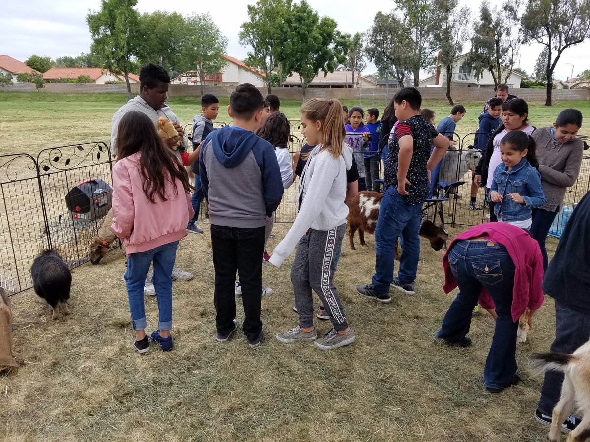 FUSD_Locust's tweet photo. Petting Zoo @FUSD_Locust https://t.co/QQHG37hXIl