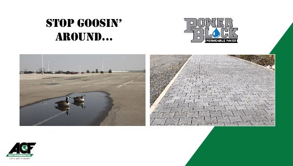 ACF_ENV's tweet image. We're just going to leave this here... 

#StopGoosinAround #ACF #LetsGetItDone #PowerBlock