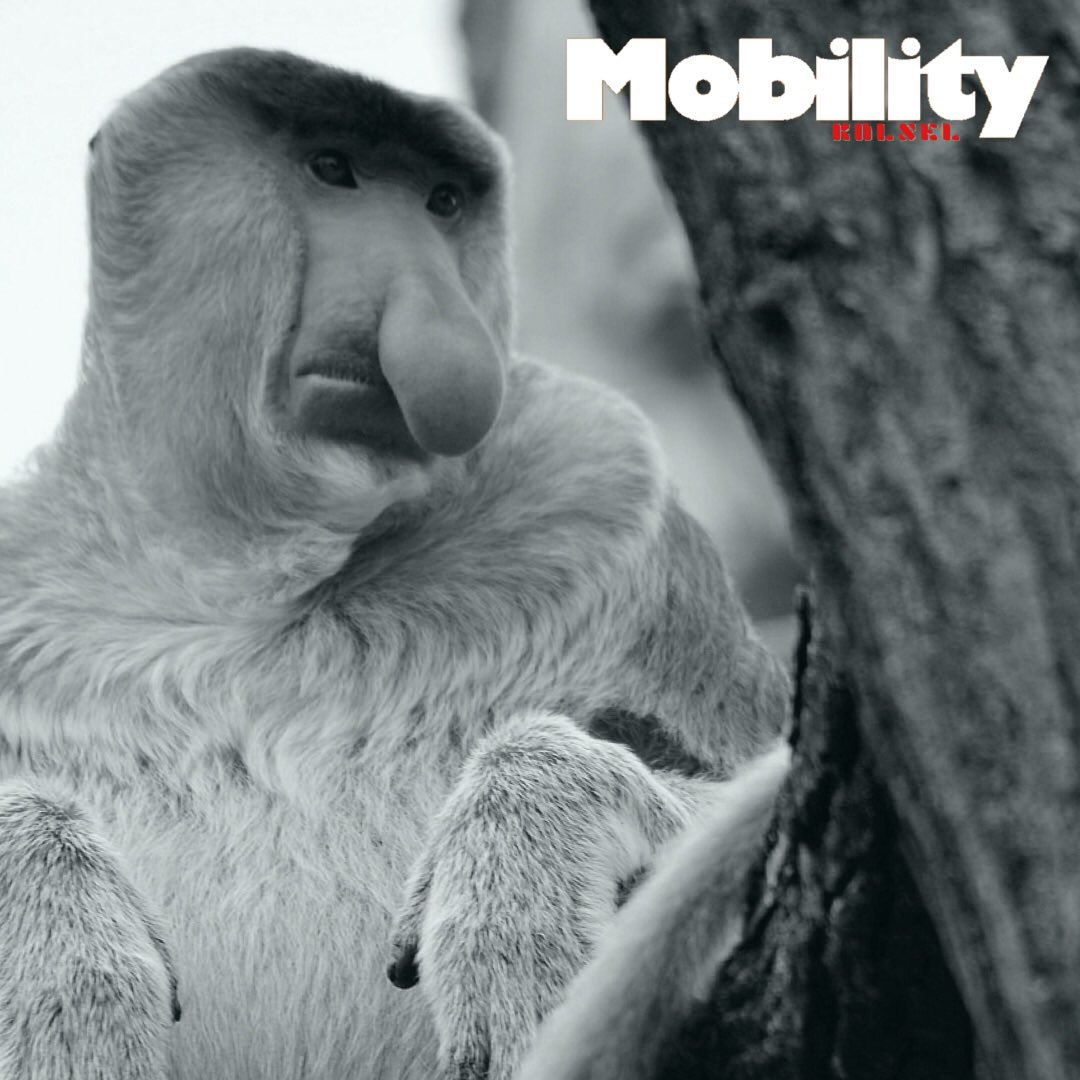 mobilitykalsel's tweet photo. Lindungi semua satwa yg ada di Indonesia !!!
#saveflora&fauna https://t.co/IgIz7gBebm