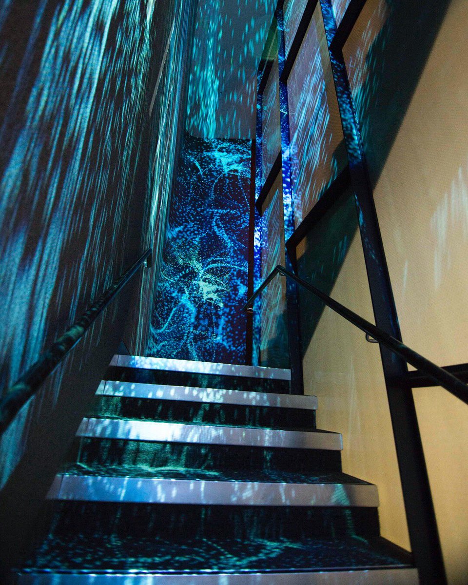 Optical Animal On Twitter Projection Mapping The Stairway